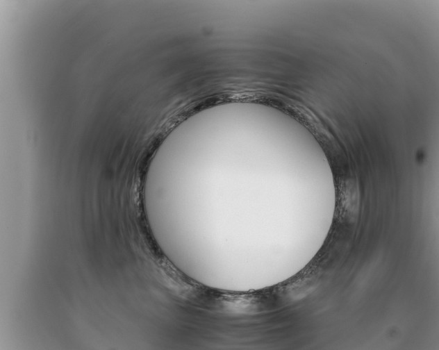 X0000091080667200708061047