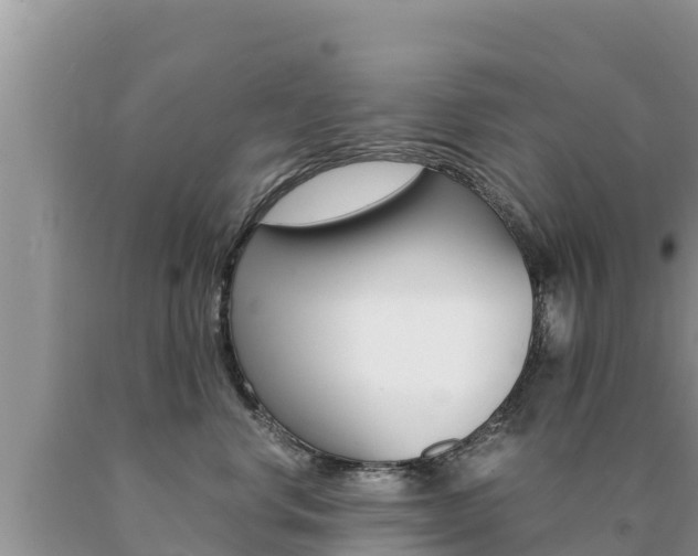 X0000091080668200708061047