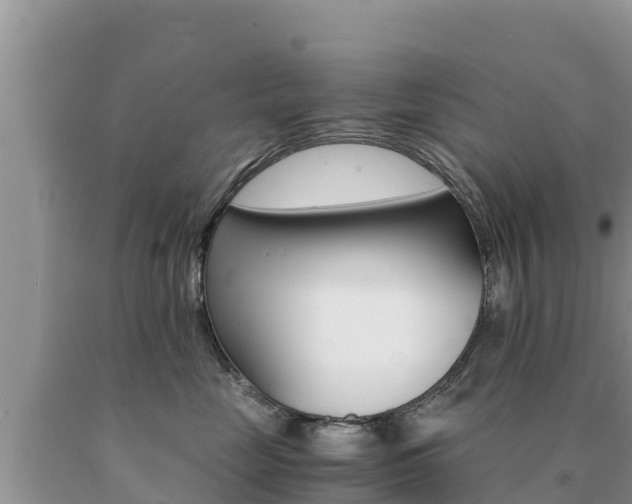 X0000091080669200708061047