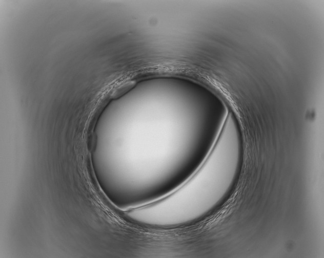 X0000091080673200708061046