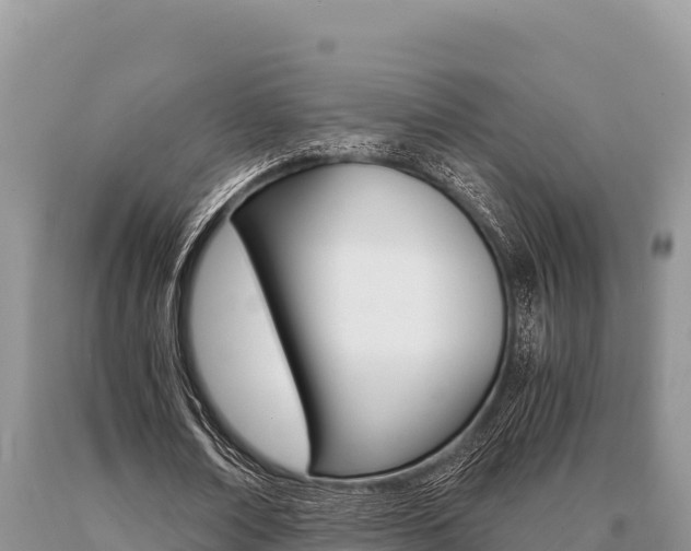 X0000091080674200708061046
