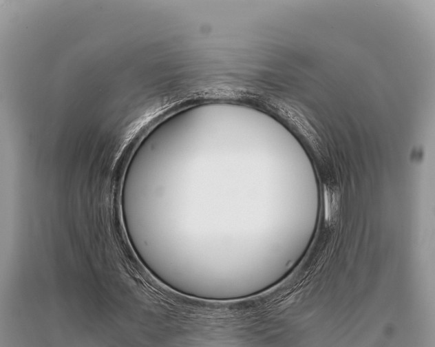X0000091080675200708061046