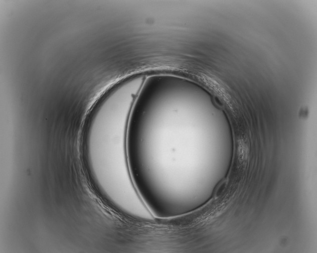X0000091080676200708061046