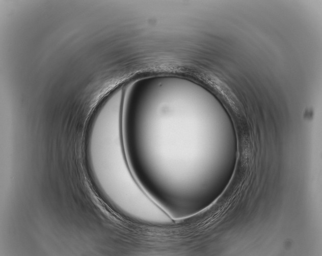 X0000091080677200708061046