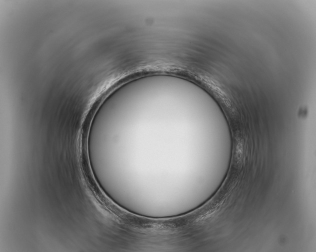X0000091080678200708061046