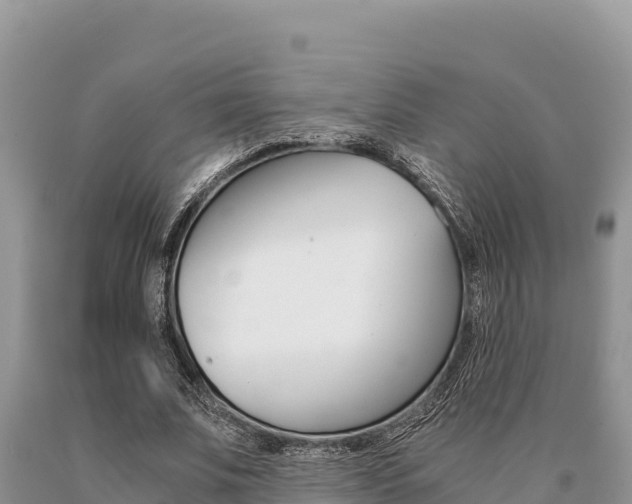 X0000091080679200708061046