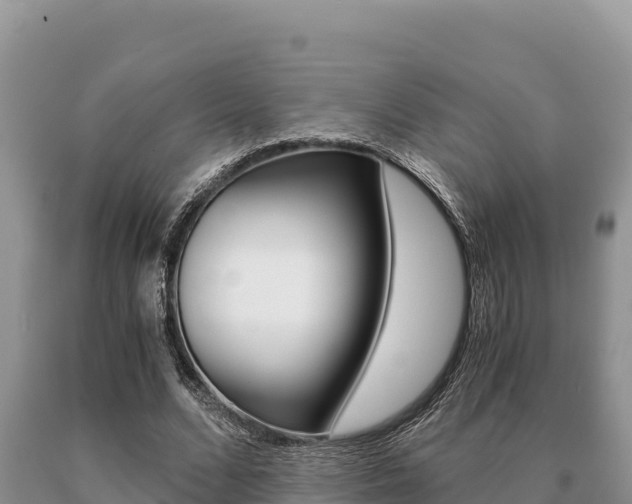 X0000091080680200708061046