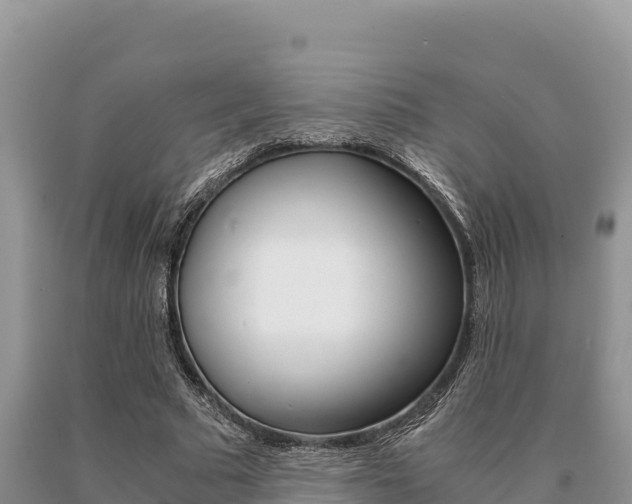 X0000091080681200708061046