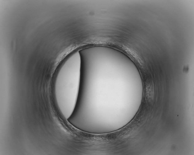 X0000091080682200708061046