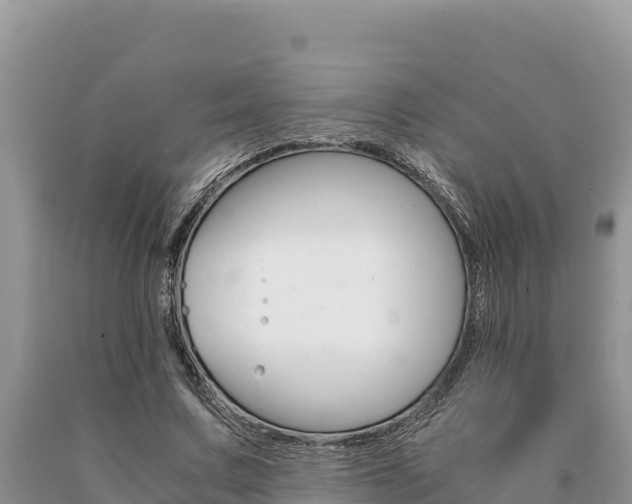 X0000091080683200708061046