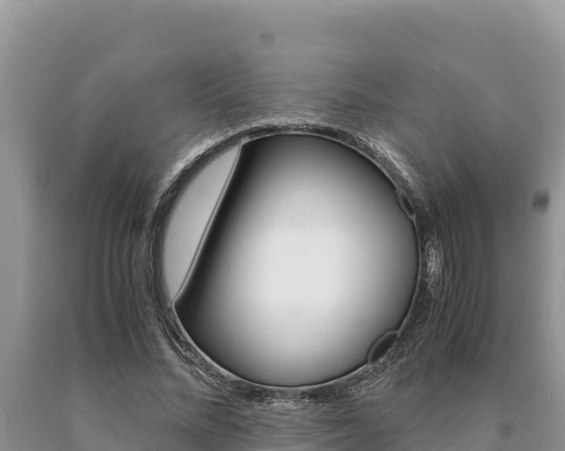 X0000091080684200708061046
