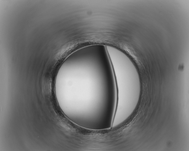 X0000091080685200708061046