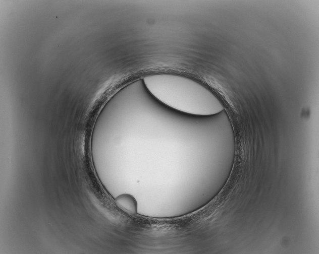 X0000091080686200708061046