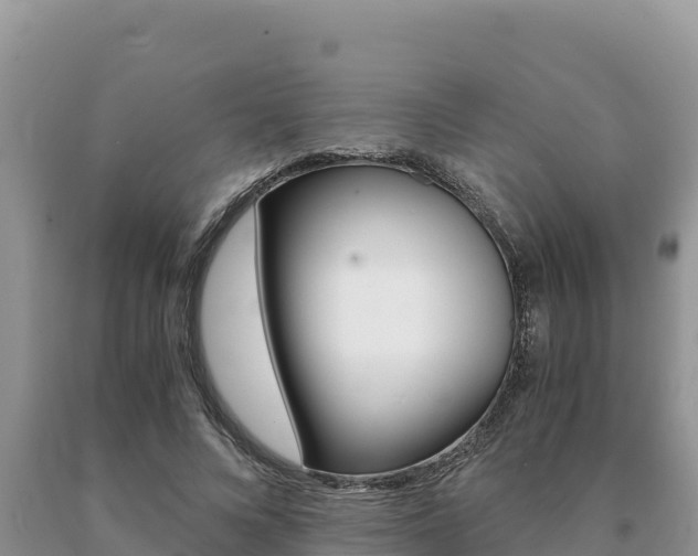 X0000091080688200708061046