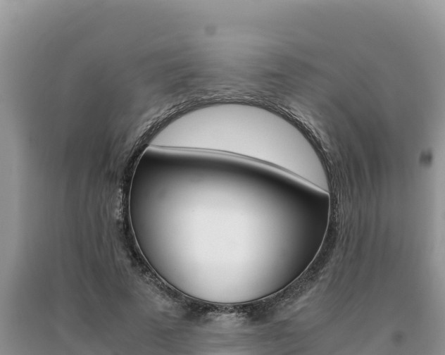 X0000091080689200708061046