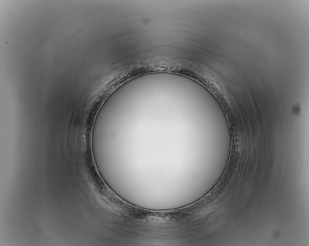 X0000091080690200708061046