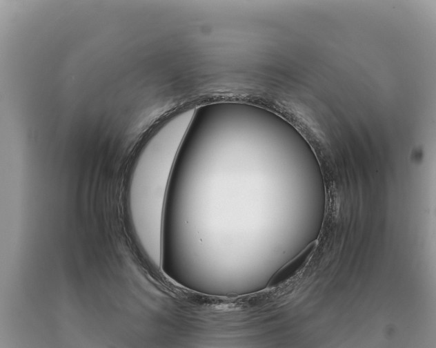 X0000091080692200708061046