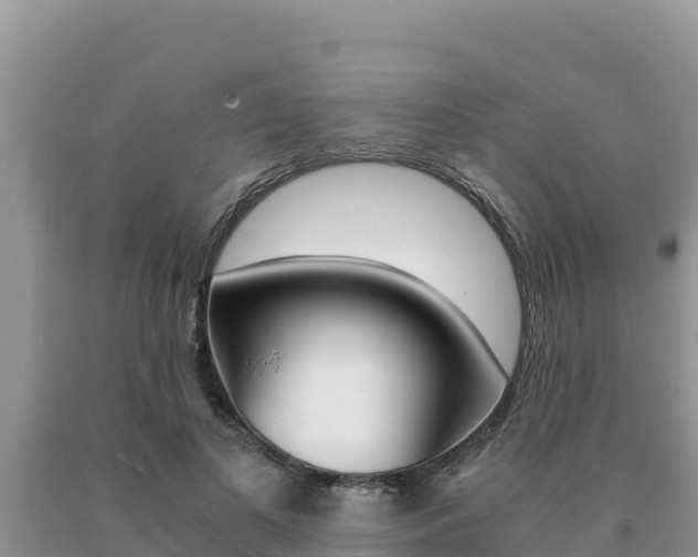 X0000091080693200708061046