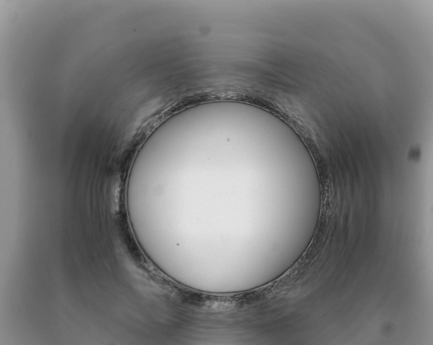 X0000091080694200708061046