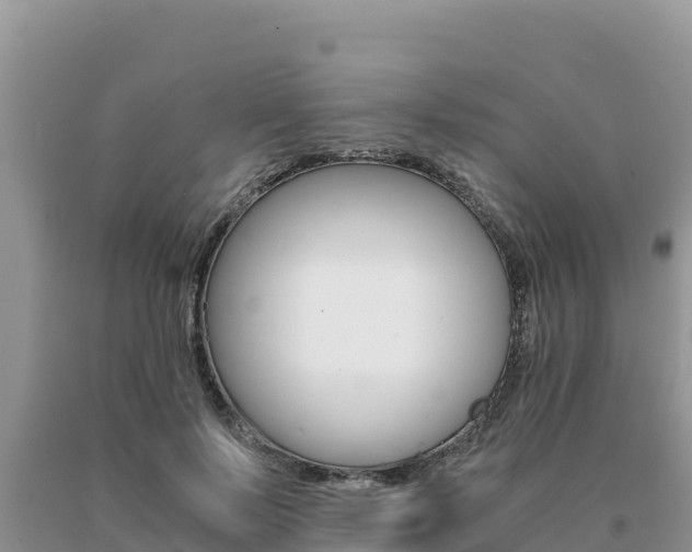 X0000091080695200708061046