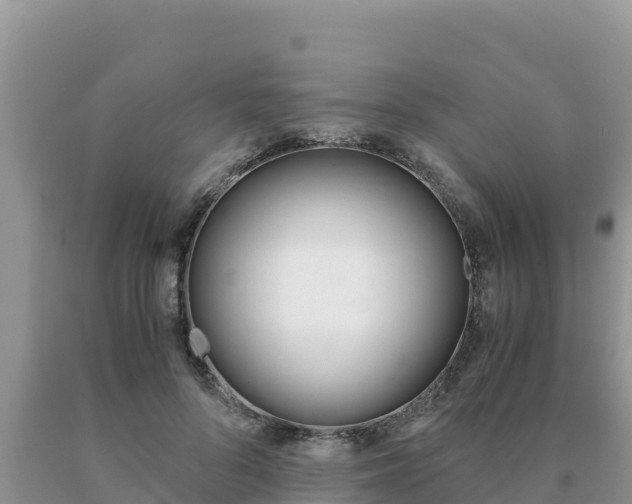 X0000091080696200708061046