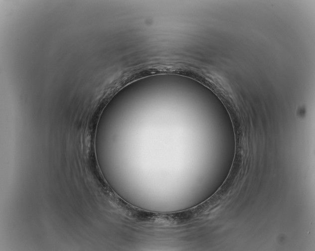 X0000091080697200708061046