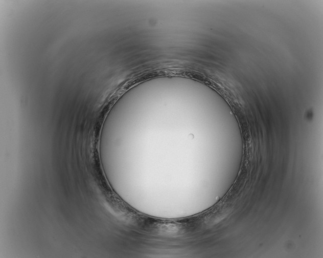 X0000091080698200708061046