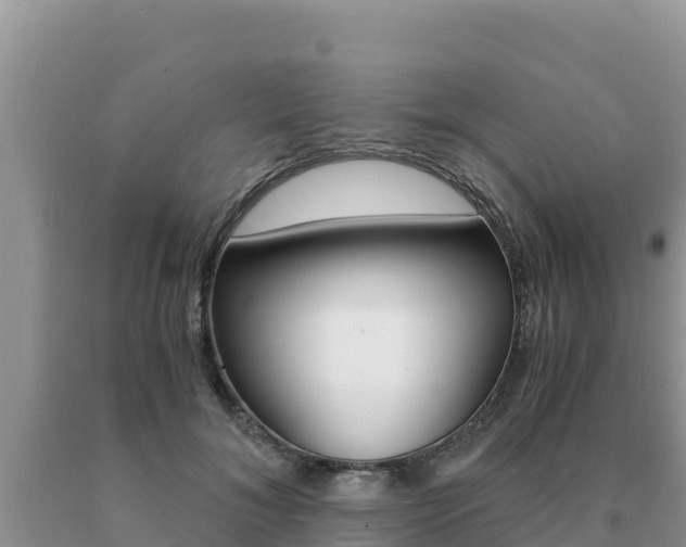 X0000091080700200708061046
