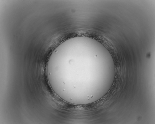 X0000091080702200708061046