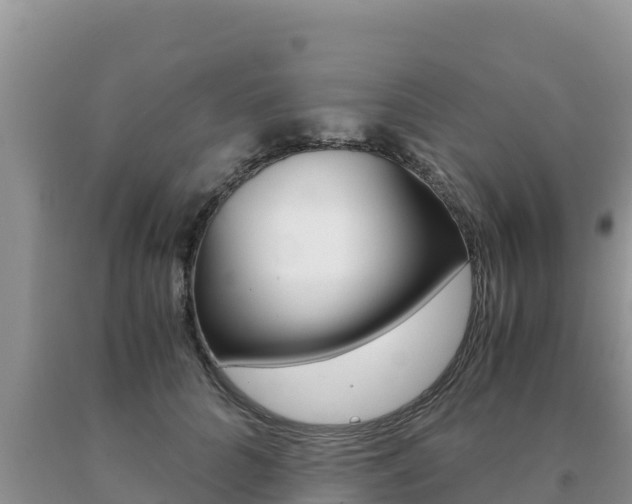 X0000091080704200708061046