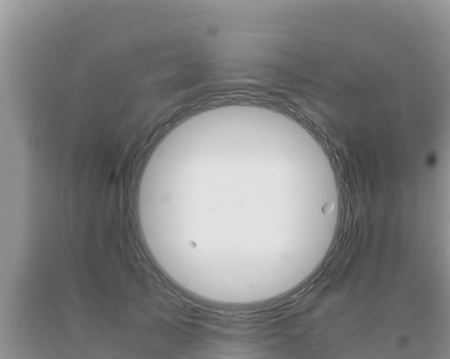 X0000091080705200708061046