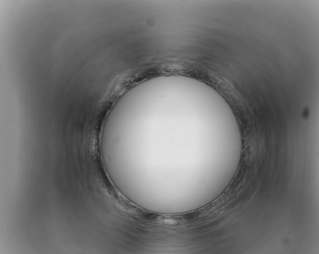 X0000091080706200708061045