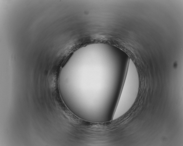 X0000091080708200708061045