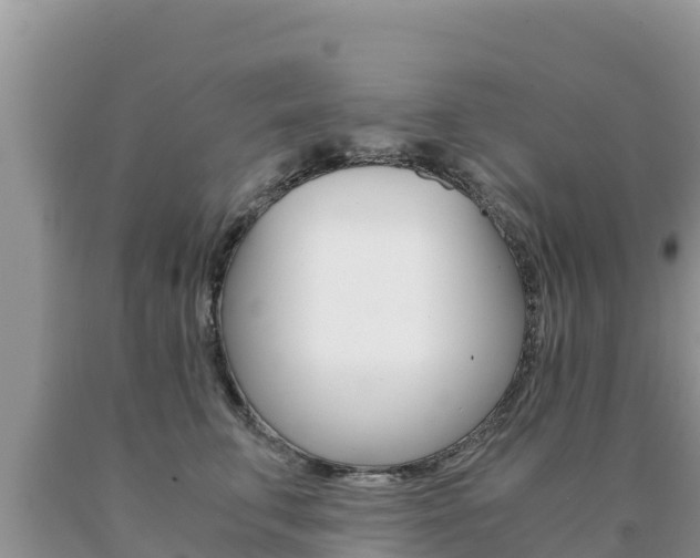 X0000091080711200708061045