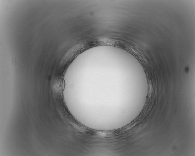 X0000091080713200708061045