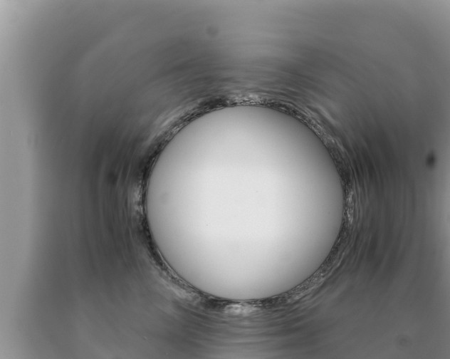 X0000091080714200708061045