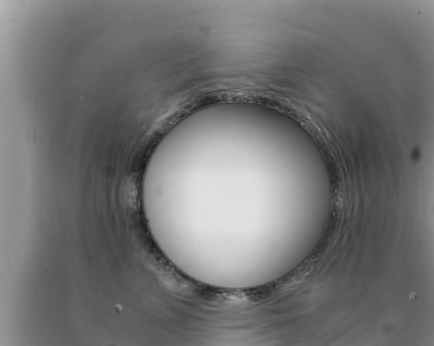 X0000091080715200708061045