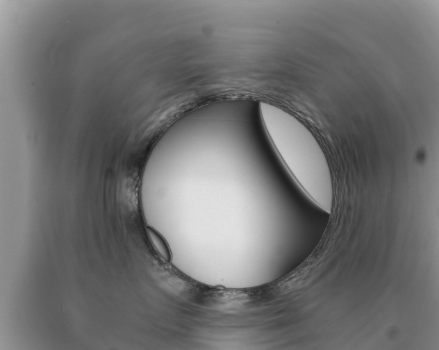 X0000091080719200708061045