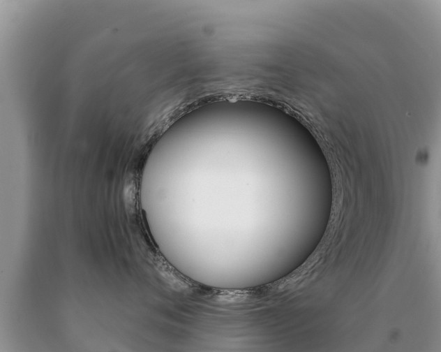 X0000091080720200708061045