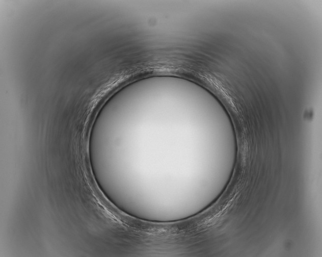 X0000091080721200708061045