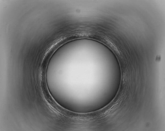 X0000091080722200708061045