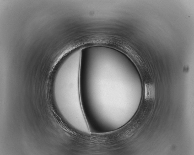 X0000091080723200708061045
