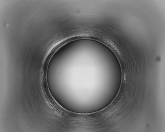 X0000091080724200708061045