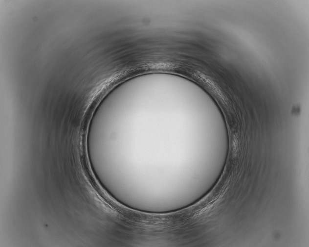 X0000091080725200708061045