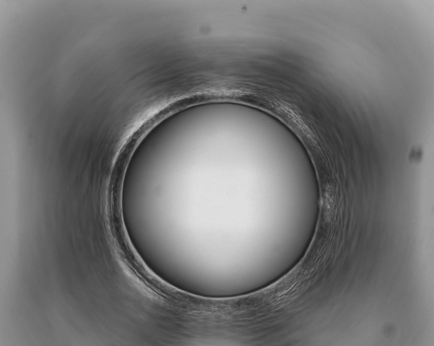 X0000091080726200708061045