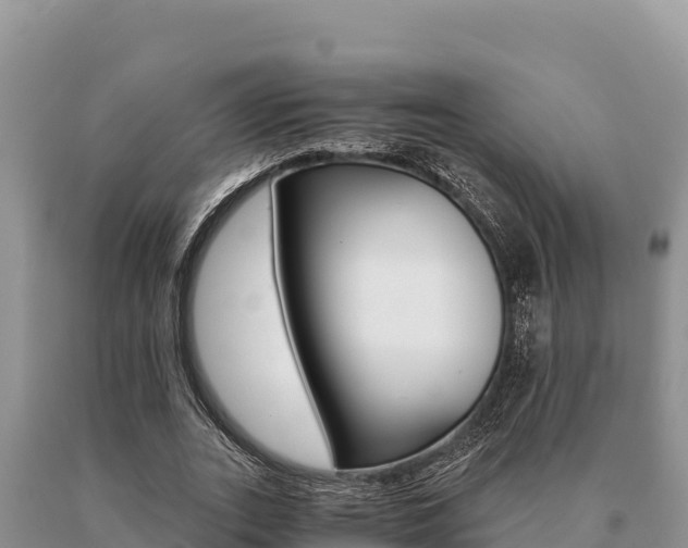 X0000091080727200708061045