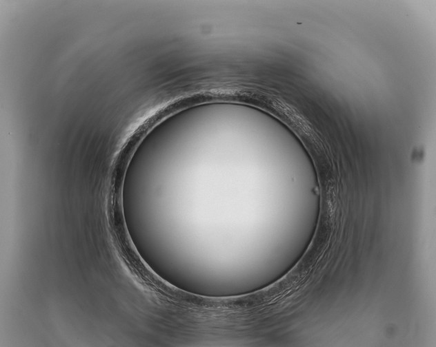 X0000091080728200708061045