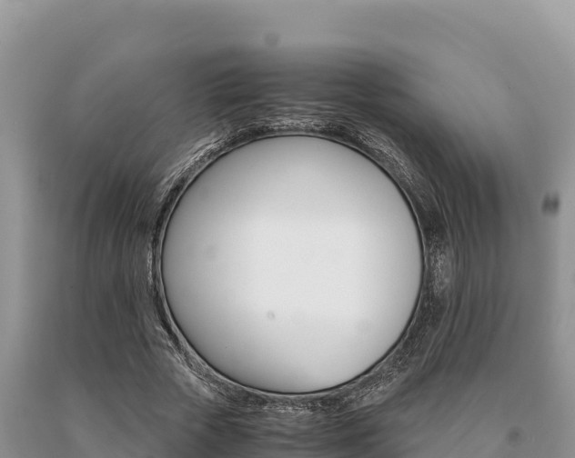 X0000091080729200708061045