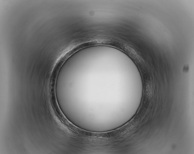 X0000091080730200708061045