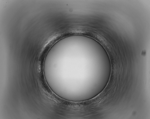 X0000091080731200708061045
